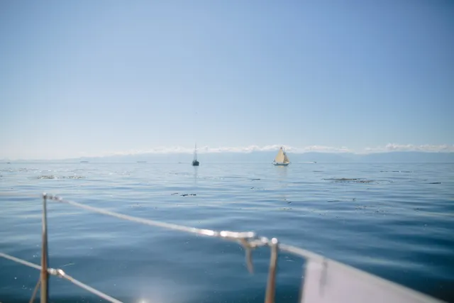 Photograph 19, Victoria Classic Boat Festival