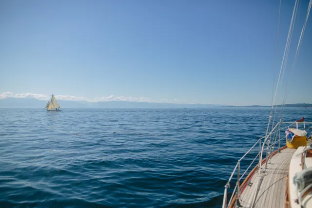 Photograph 20, Victoria Classic Boat Festival